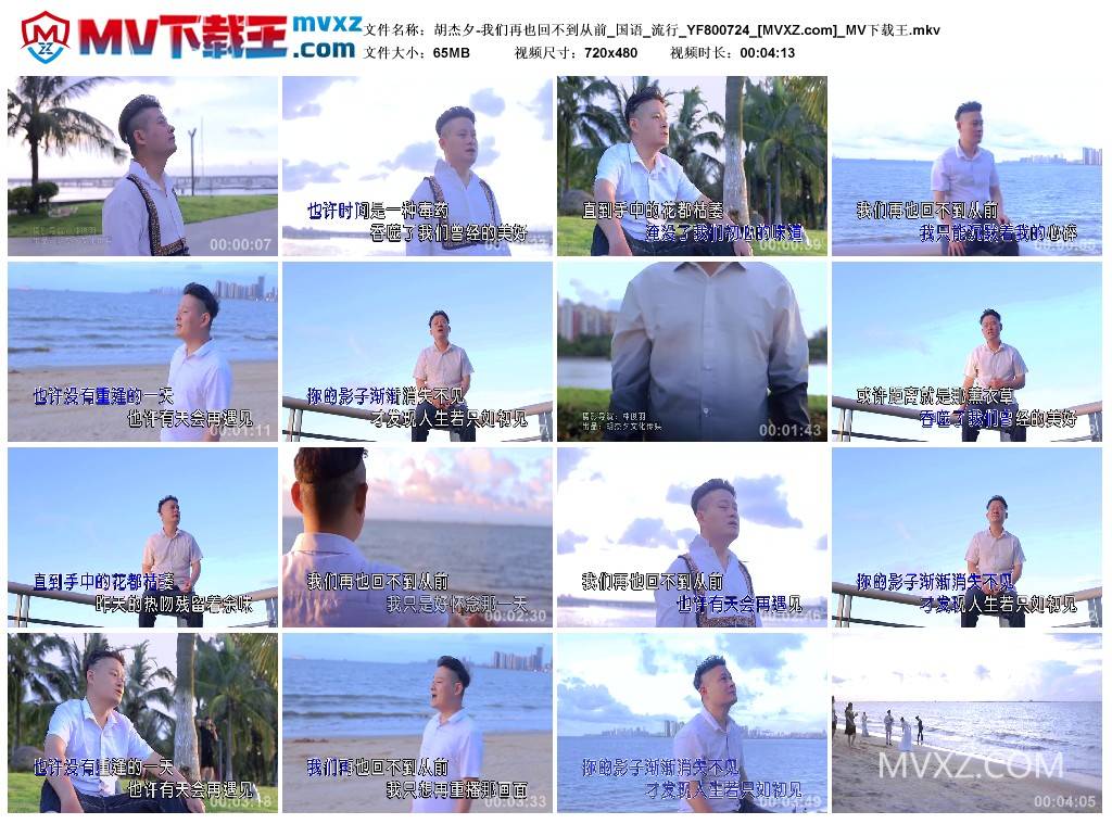 胡杰夕-我们再也回不到从前_国语_流行_YF800724